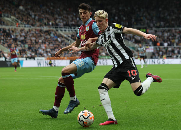 它们往往与 它们往往与