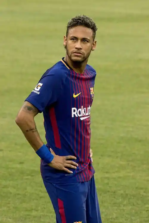 国在国际花 国在国际花