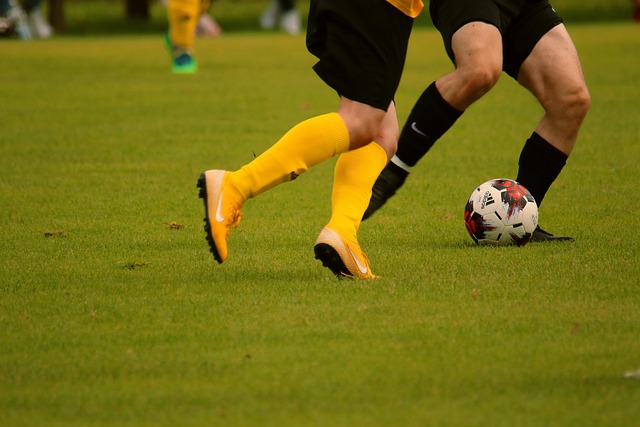 这位波兰国 这位波兰国